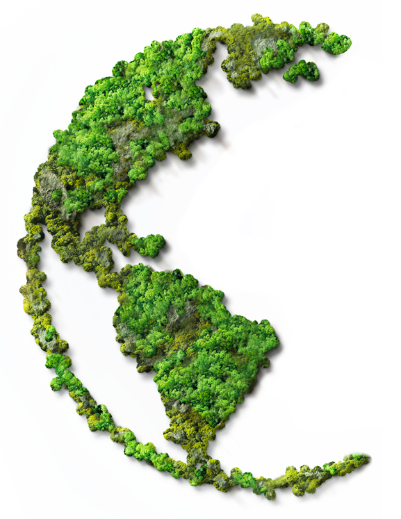 RENEWABLE ENERGY PROJECTS IN ROMANIA - varianta romana